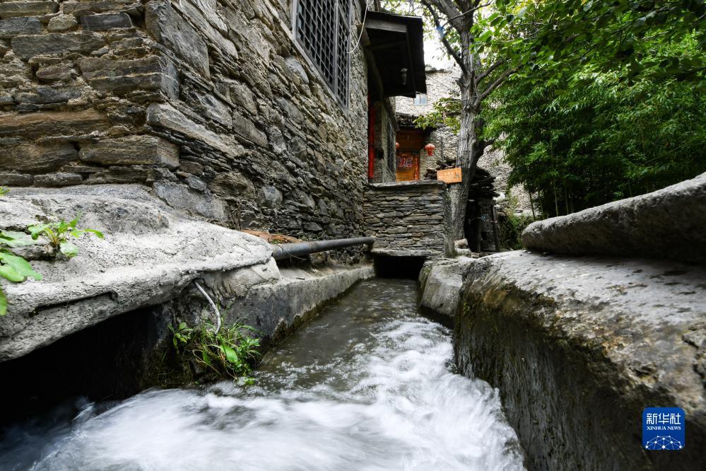 新京葡萄